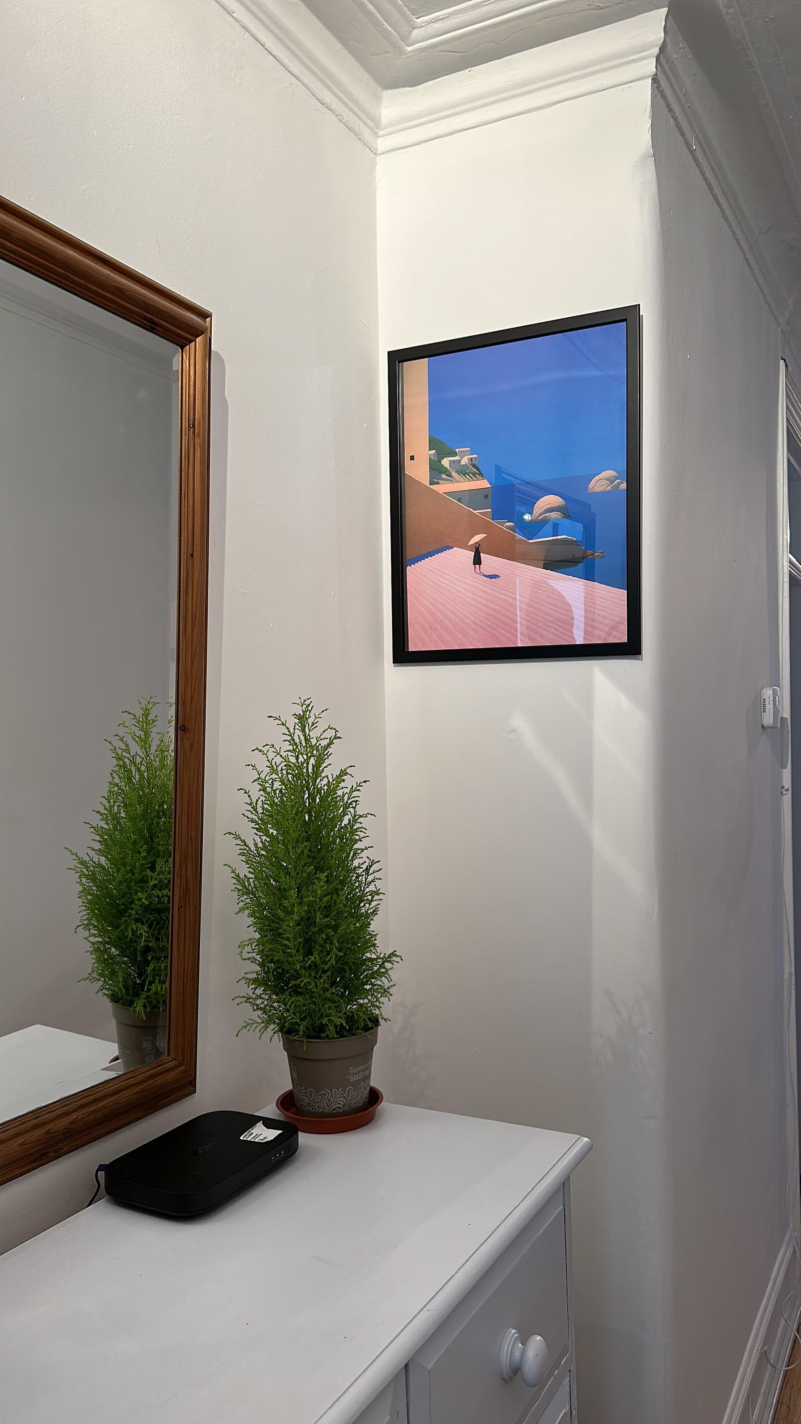 Fruit Pots Illustroworks