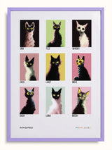 #lilac, lila