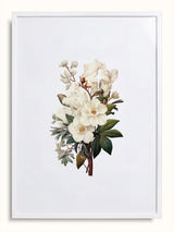 #beyaz, white