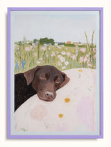 #lilac, lila