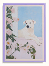 #lilac, lila
