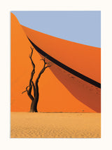 #unframed, çerçevesiz