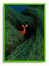 #green, yeşil