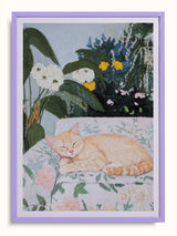 #lilac, lila