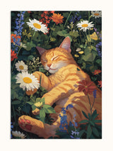 #unframed, çerçevesiz