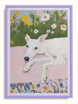 #lilac, lila