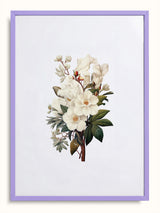 #lilac, lila