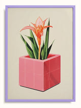 #lilac, lila