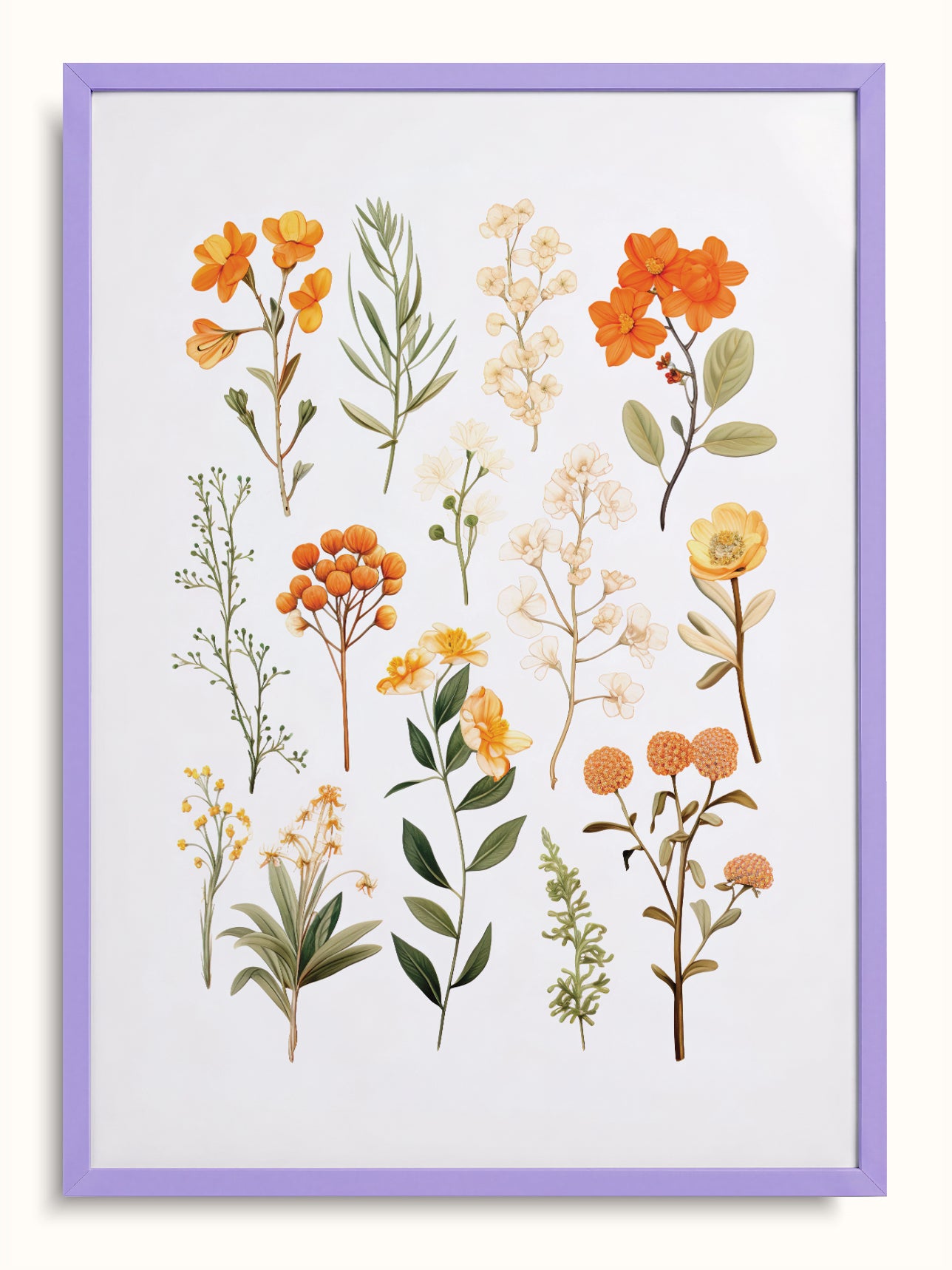 #lilac, lila