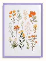 #lilac, lila