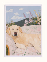 #unframed, çerçevesiz