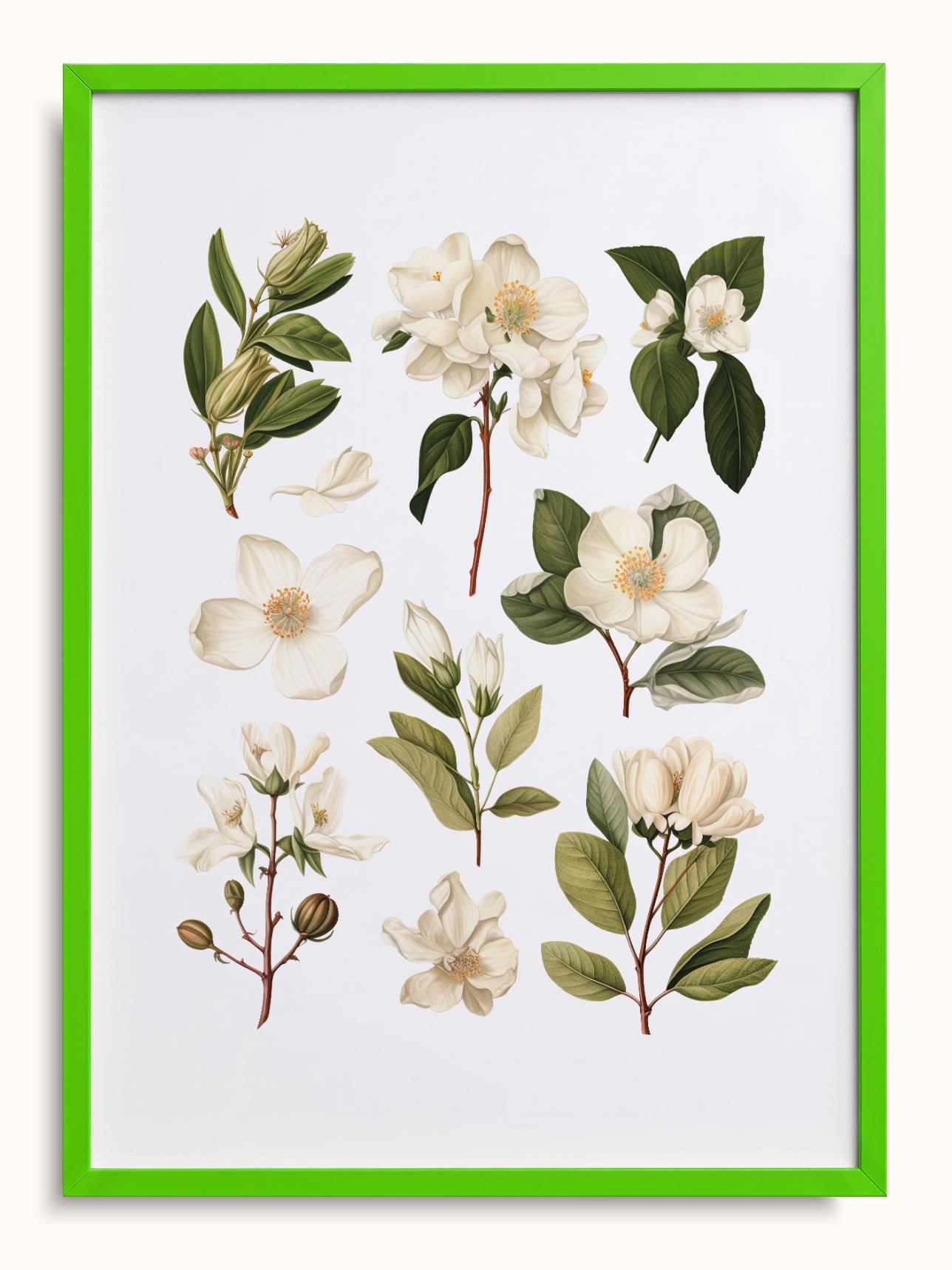 #green, yeşil
