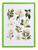#green, yeşil
