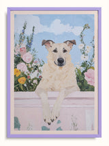 #lilac, lila