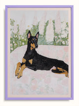 #lilac, lila