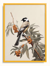 #mandarin, mandalina