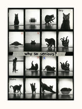 #unframed, çerçevesiz