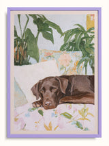 #lilac, lila