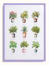 #lilac, lila