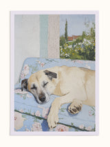 #unframed, çerçevesiz