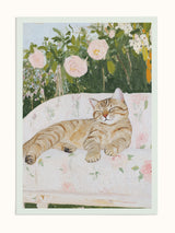 #unframed, çerçevesiz