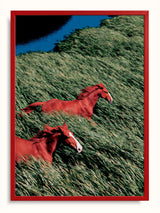 #crimson, kızıl