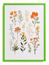 #green, yeşil
