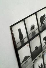 #black, unframed, siyah, çerçevesiz, natural, doğal, beyaz, white, mandarin, mandalina, crimson, kızıl, lilac, lila,green, yeşil